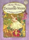 A Wedding in Fairyland (Shirley Barber's The Enchanted Woods)